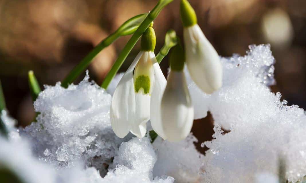 Pierwszy dzień wiosny w Lipinkach: Celebracja przywitania nowego sezonu!