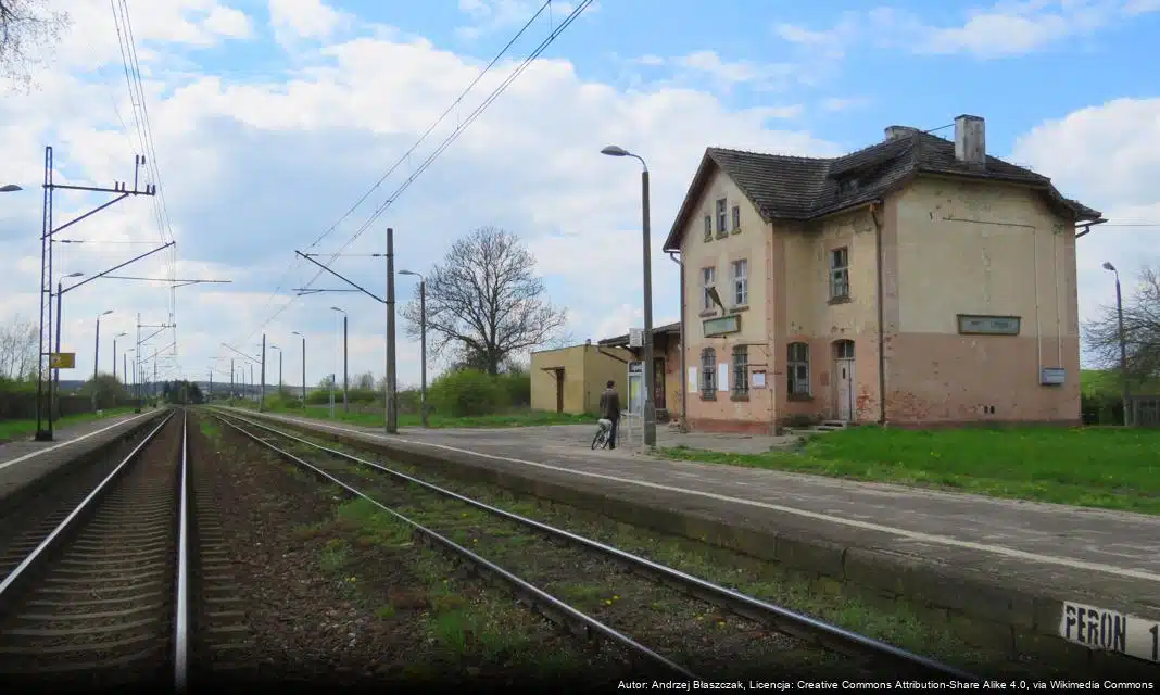 Otwarte konkursy ofert na wsparcie kultury fizycznej w Gminie Lipinki