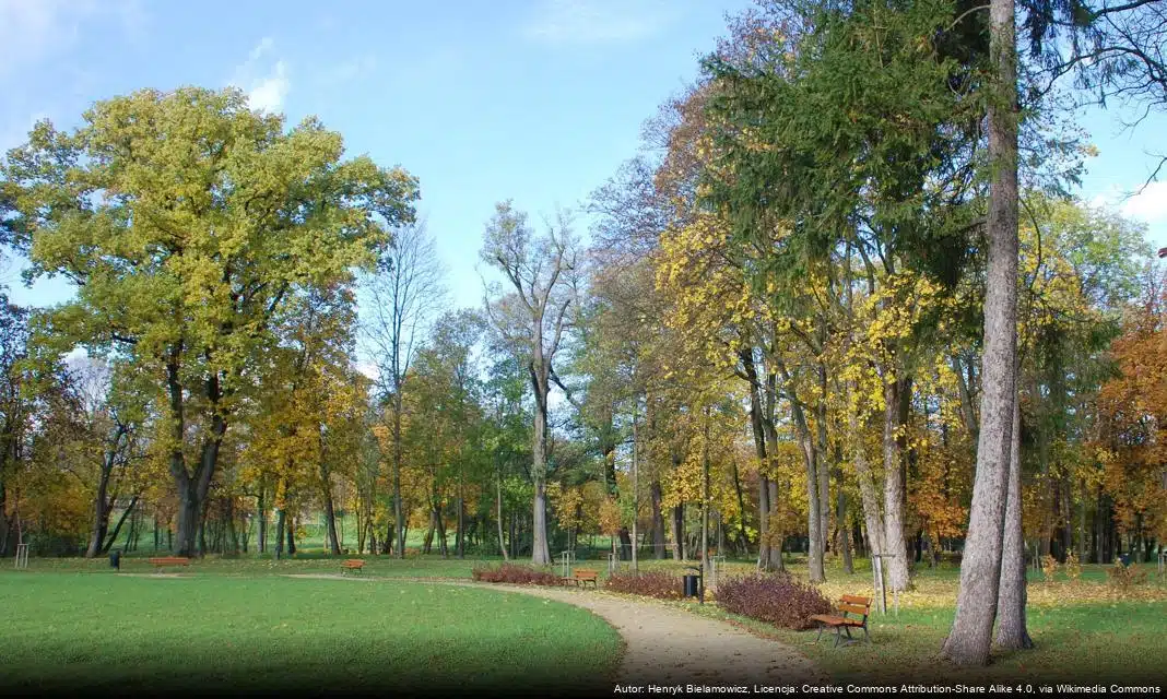 Nabór kandydatów do Komisji Konkursowej w Gminie Lipinki